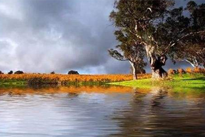 Flaming Pear Flood水波纹倒影PS滤镜插件中文版百度云网盘下载