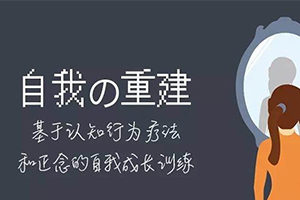 自我的重建：正念的自我成长百度云网盘下载