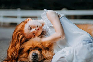 动感映像ImageMotion V1.3中文版 一键让你的照片局部动起来百度云网盘下载