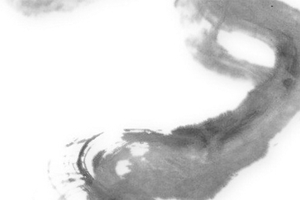 古风文网络小说电子书123部合集百度云网盘下载