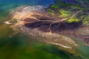 HDR滤镜汉化破解版Nik software HDR efex pro 2.0百度云网盘下载