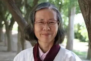 残雪经典作品集24本合集百度云网盘下载