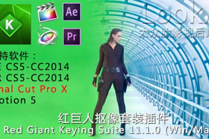 红巨人抠像套装插件Keying Suite抠像套装百度云网盘下载