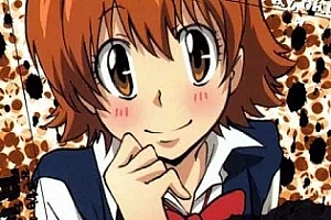 天野明《家庭教师HITMAN REBORN! 》[JPG漫画全33卷]百度云网盘下载