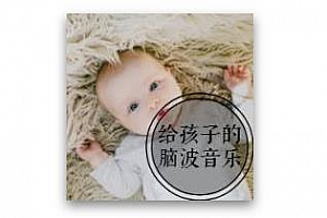 《卓人音乐》音频MP3百度云网盘下载[MP3/304.59MB]