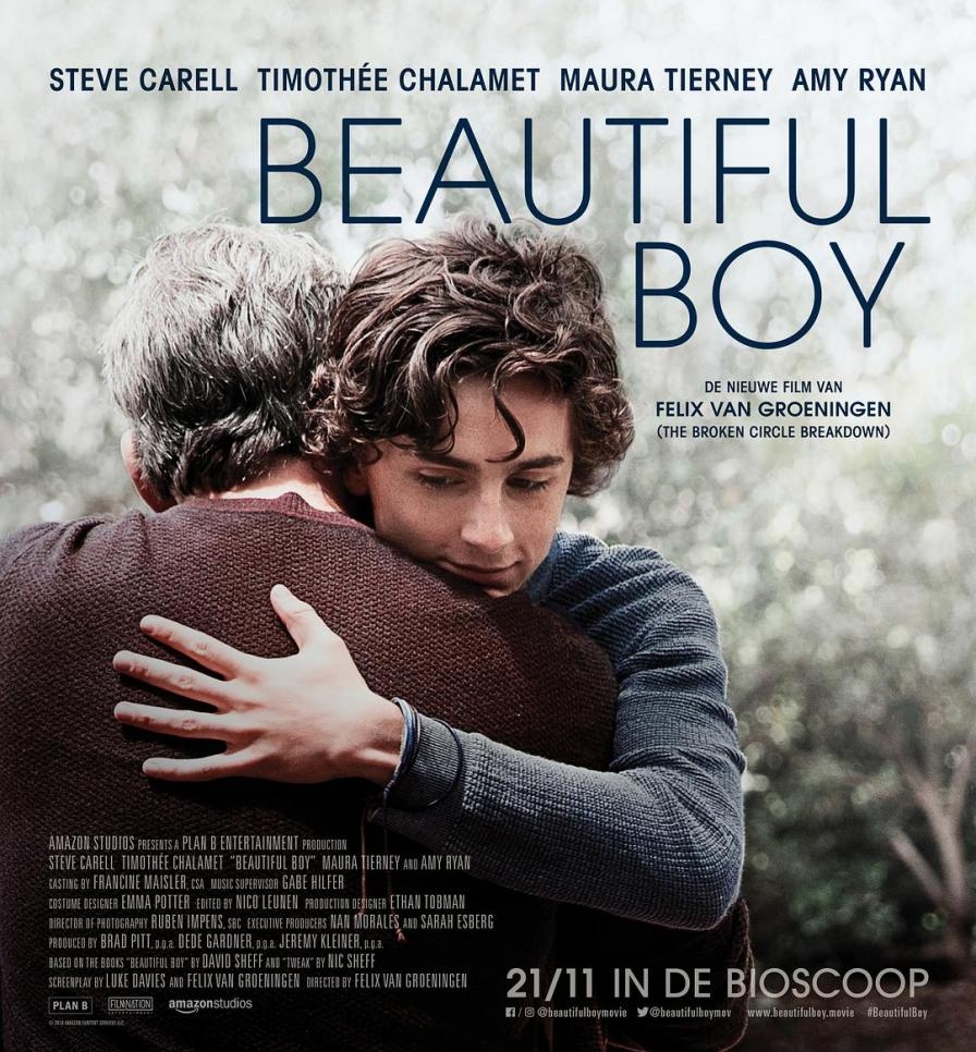 电影《漂亮男孩/美丽男孩(台)》蓝光原盘下载+高清MKV版 2018 Beautiful Boy 迅雷下载36.6G