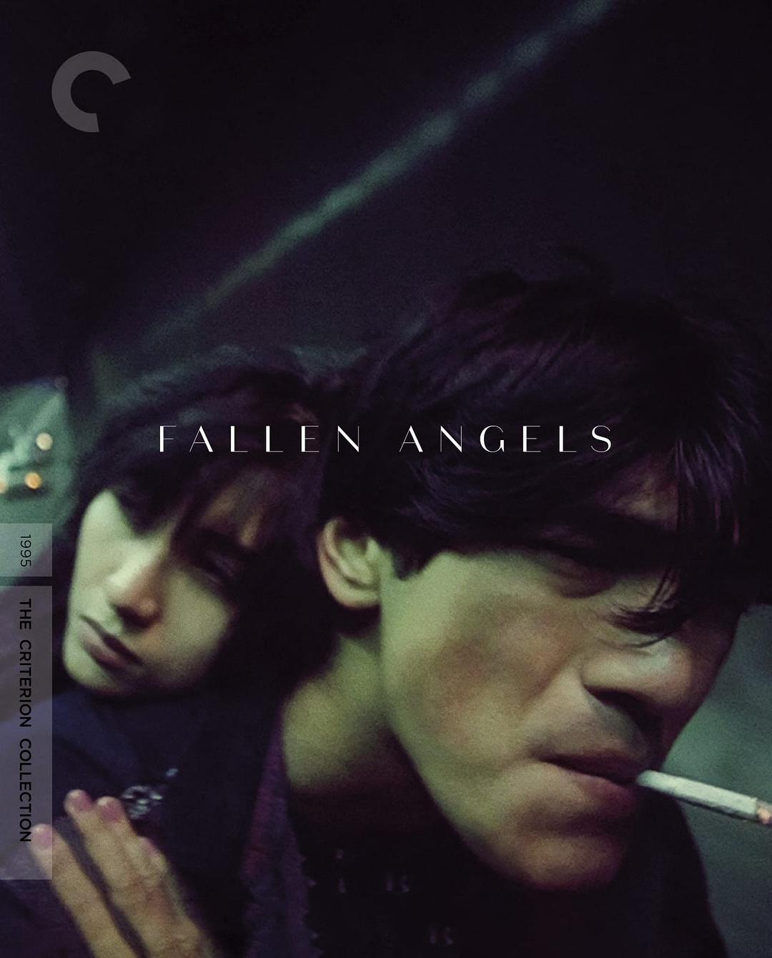 电影《堕落天使》蓝光高清MKV版下载/Fallen Angels 1995 墮落天使 13.9G