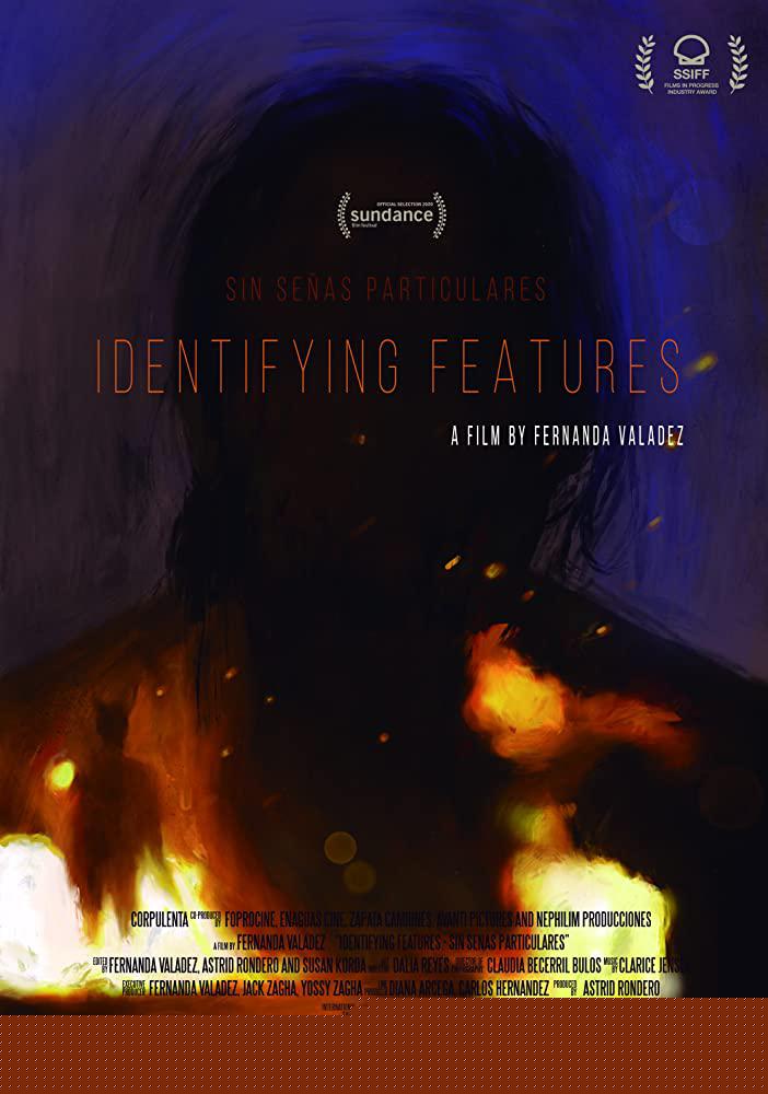 电影《特征可识别》蓝光高清MKV版下载Identifying Features 2020 Sin Señas Particulares 6.0G