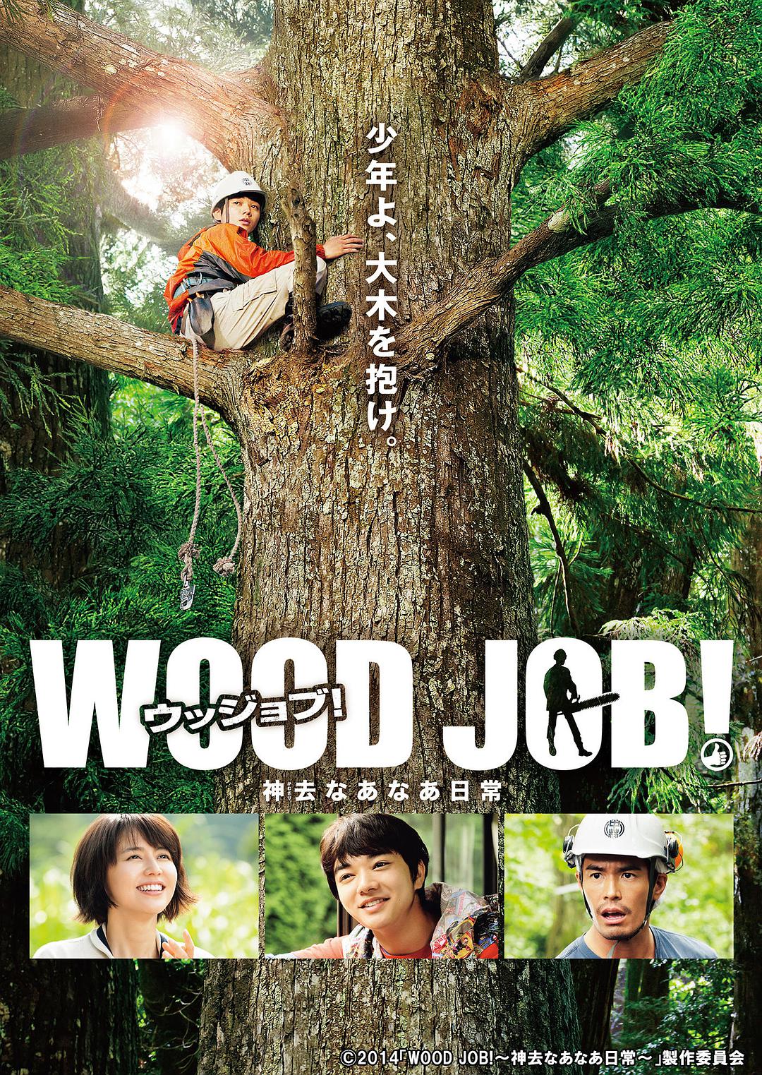 电影《哪啊哪啊神去村WOOD JOB！/哪啊哪啊～神去村(台)/恋上春树(港)/悠哉神去村/WOOD JOB！哪啊哪啊神去村/神去村日常》 蓝光高清版下载 2014 神去なあなあ日常 6.3G