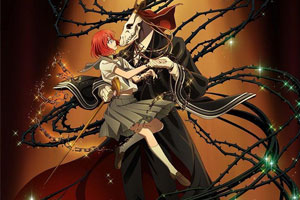 动画动漫《魔法使的新娘》高清超清[BD720P/HD1080P]（2017）百度云网盘下载[MP4/4.01GB]