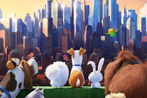 动画动漫《爱宠大机密》高清1080P下载.英语中字.(2016)百度云网盘下载[MP4/1.20GB]