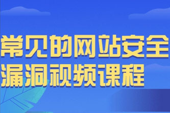 《常见的网站安全漏洞视频课程》阿里云网盘下载